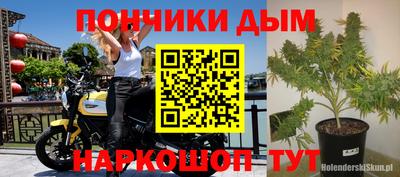 гашик Бузулук